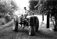 Pap on the tractor - 1973