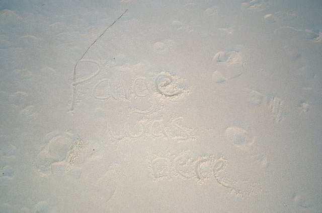 Paige Was Here