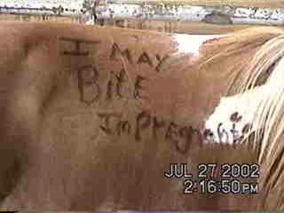 Okay, so this just amused me for some reason 7/27/02