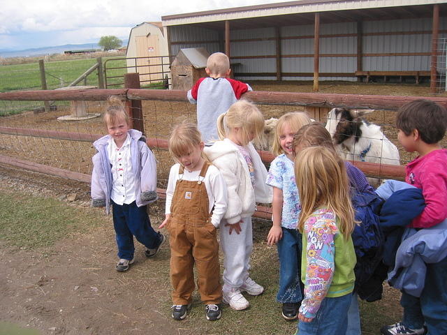 Victoria, Carrie, ?, Rachael, Jayde, ?, Karlie, ?