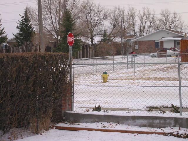 Random picture of snow.