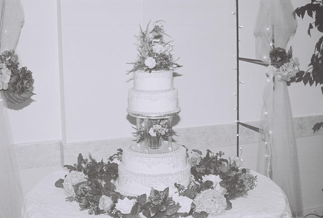 The cake