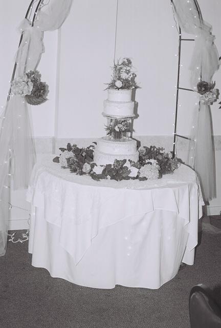 The cake again