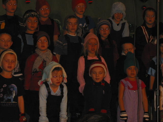 IMG 4241