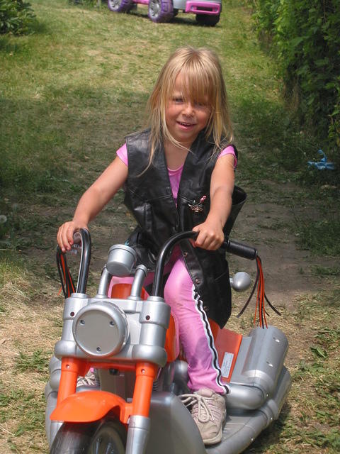 IMG 3531