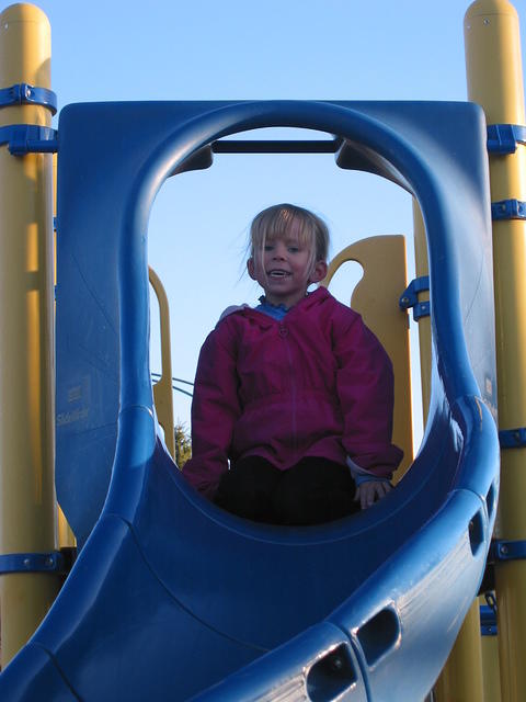 IMG 3112