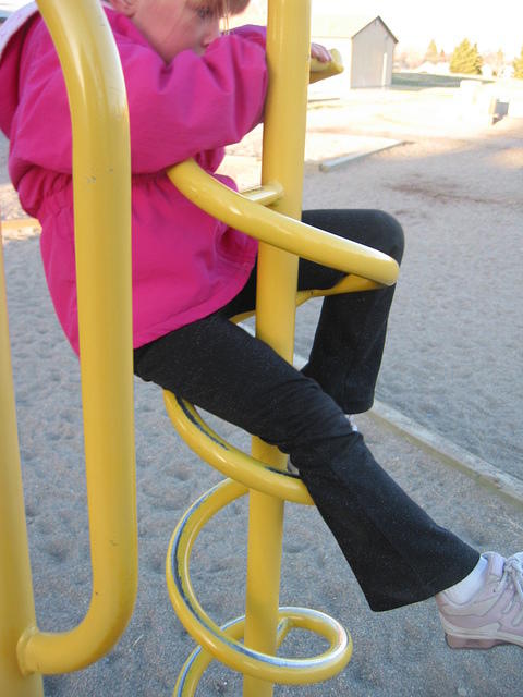 IMG 3135