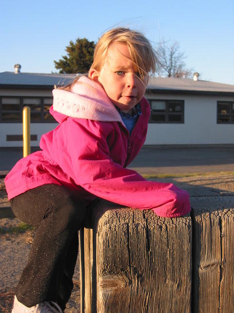 IMG 3149