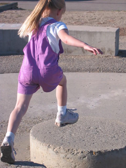 IMG 3208