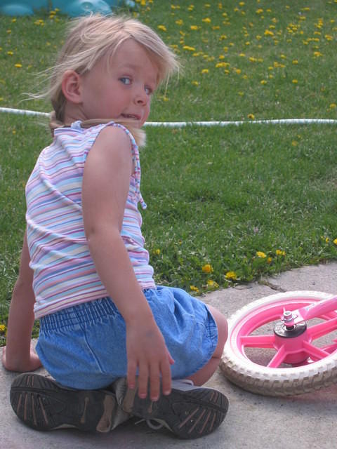 IMG 3341