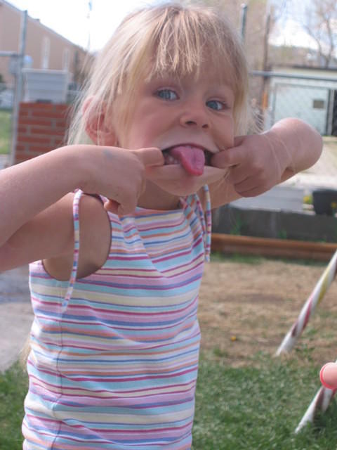 IMG 3347