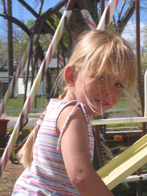 IMG 3350