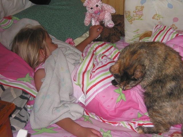 IMG 3376