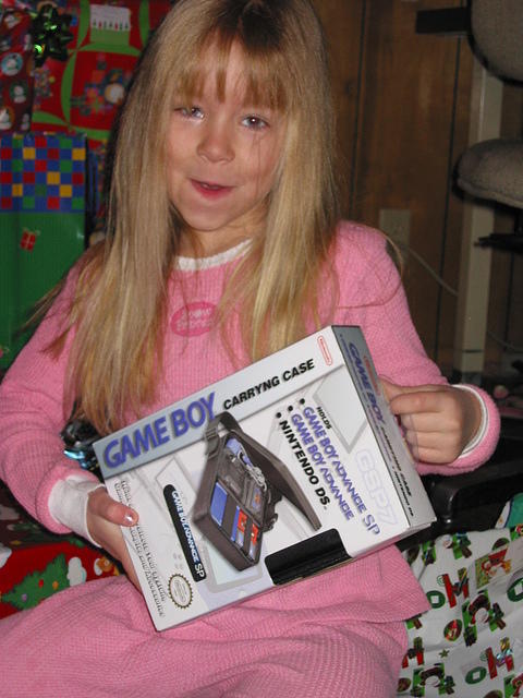 A gameboy case which happens to have a gameboy inside, and a few games.