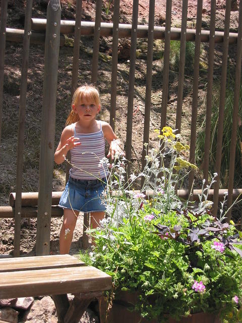 Carrie chasing butterflies.