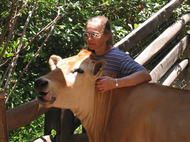 Mom and a cow.