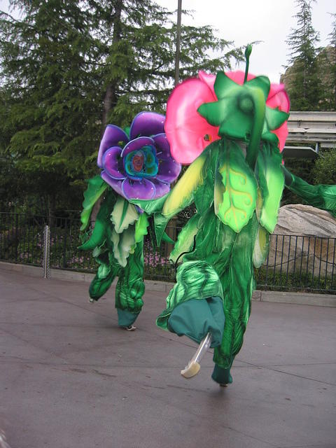IMG_5012.JPG