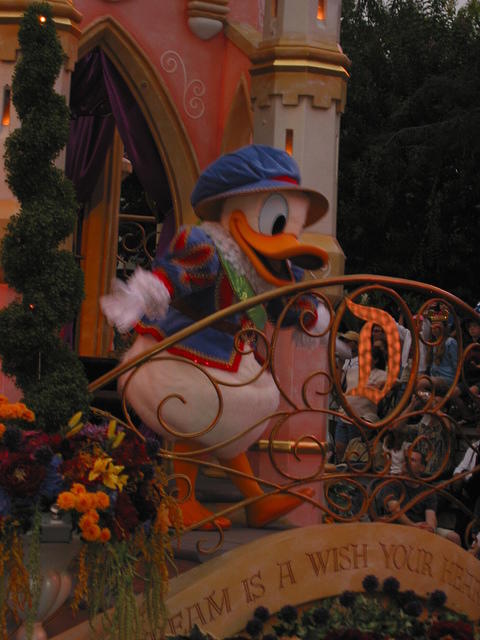 IMG_5027.JPG