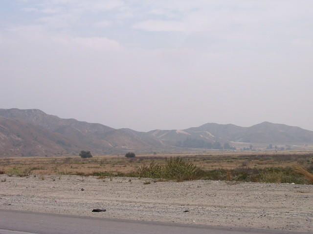 IMG_5110.JPG