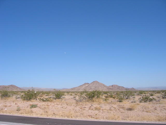 IMG_5130.JPG