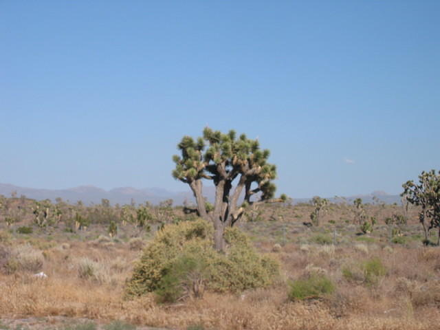 IMG_5132.JPG