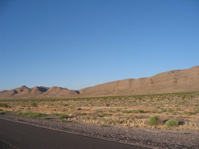 IMG_5155.JPG