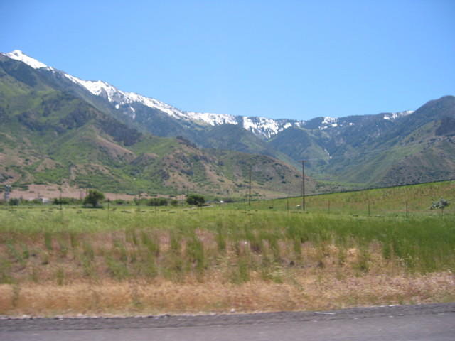 IMG_5192.JPG
