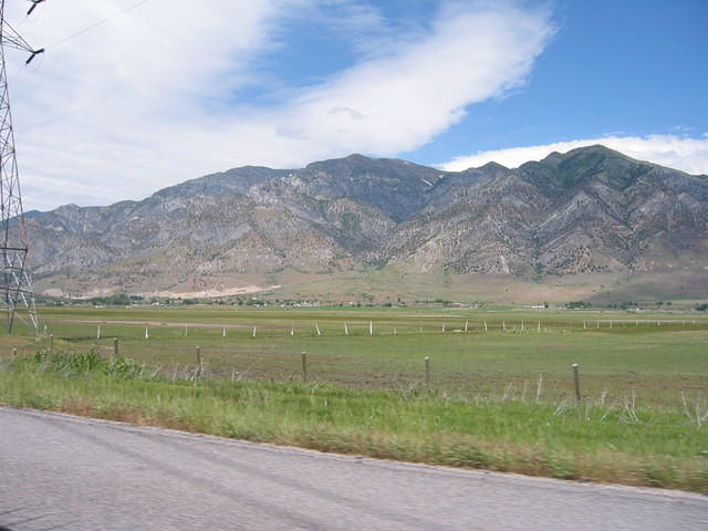 IMG_5200.JPG