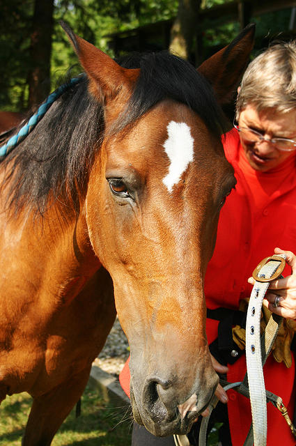 Carol Bradley and Dandy