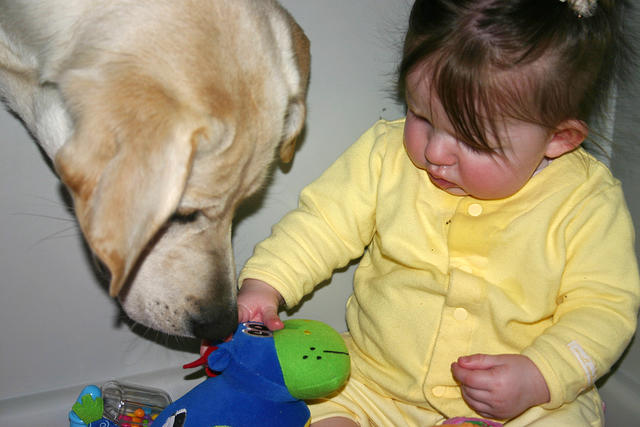 Lily going for another of Joleigh's toys
