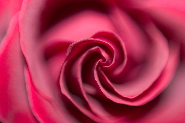 This, was my first messed up attempt at reverse lens macro. :P