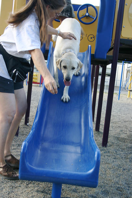 Mom and Lily playing on the slide
