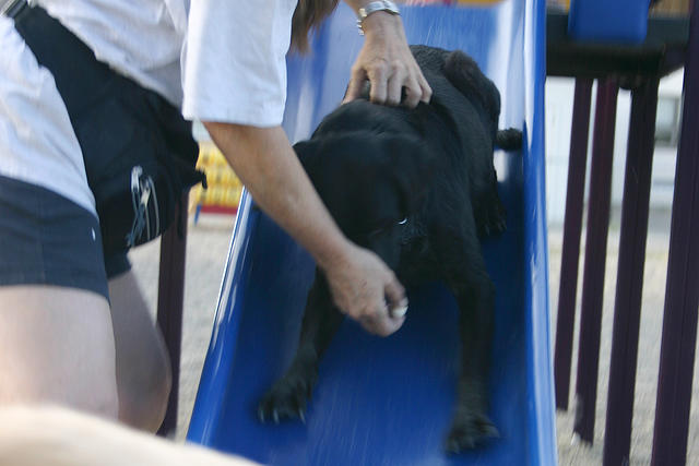 Mom and Ebony playing on the slide