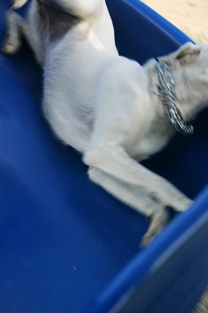 Lily coming down the slide, a bit awkward