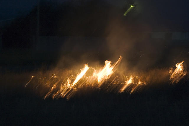 More of the fire at a run