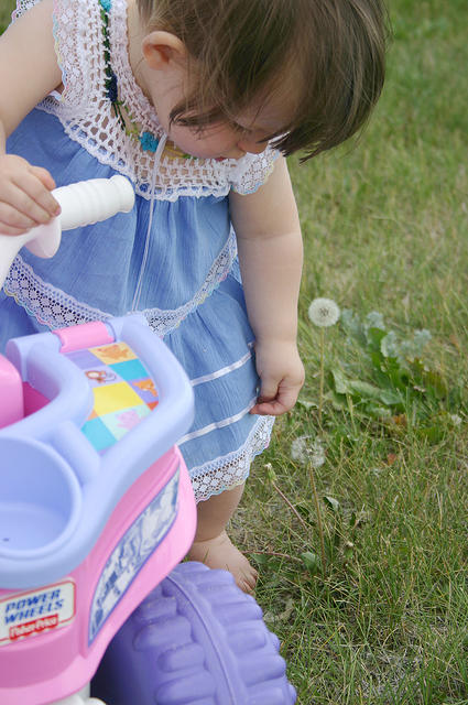 Joleigh found a dandelion