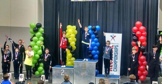2015 Men's Region 2 Gymnastics Championships