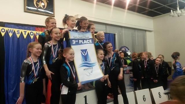 Level 3 - 3rd Place - 2015 Yellowstone Invitational