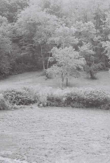 6813918-R1-015-6