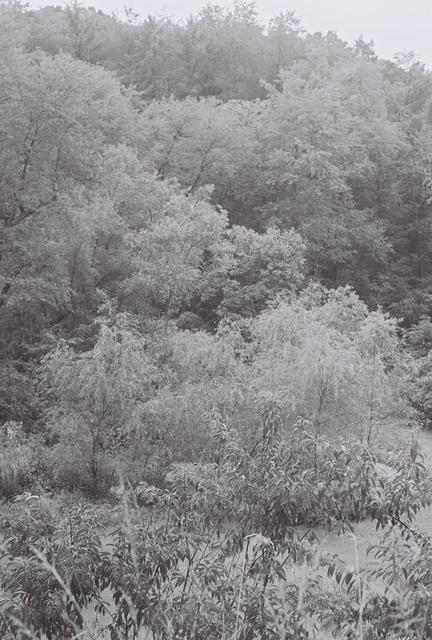 6813918-R1-019-8