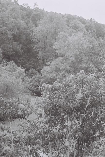 6813918-R1-021-9