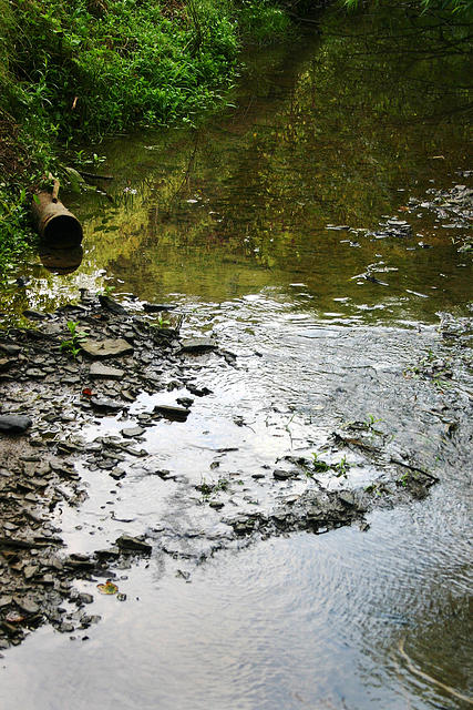 The creek that runs behind my grandparents house