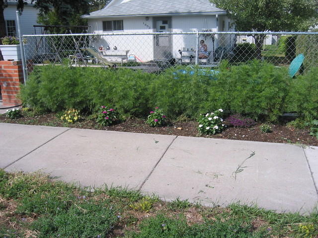 View from the front.