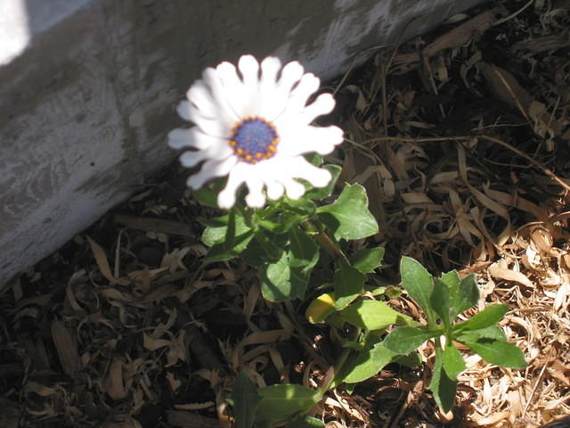 IMG 3489