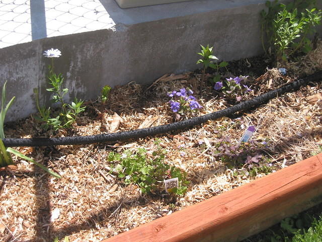 IMG 3490