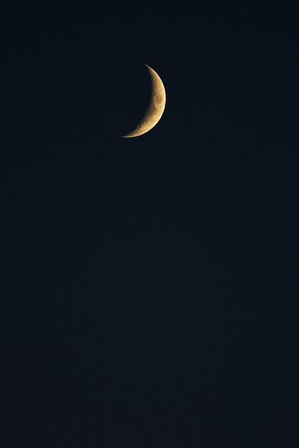 CRW_9779a