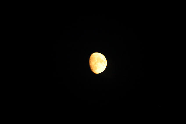 IMG_0302a