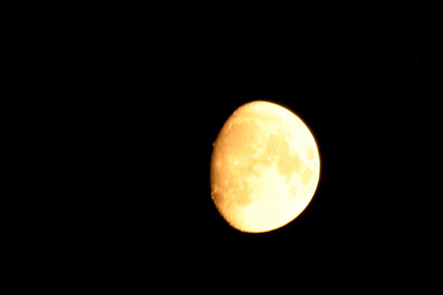 IMG_0306a