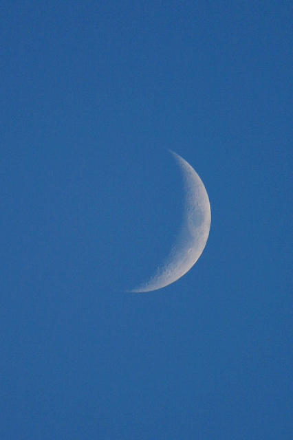IMG_9768a