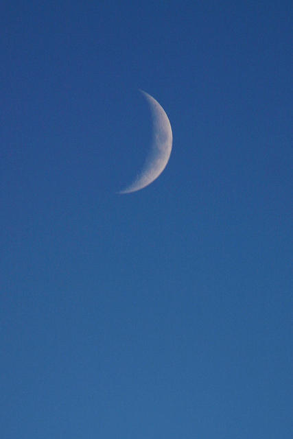 IMG_9776a